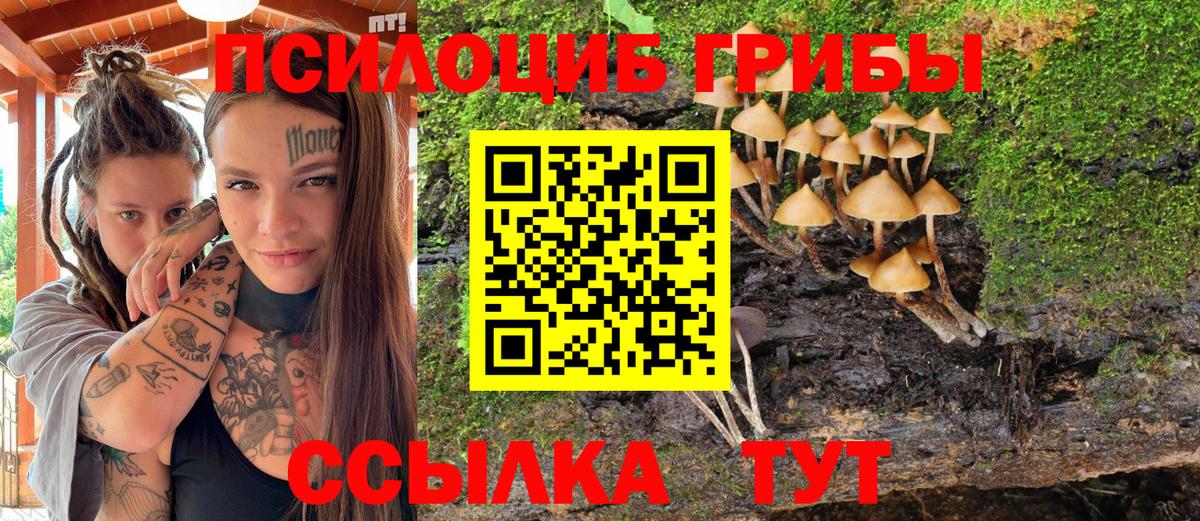 Псилоцибиновые грибы мицелий  Галлюциногенные грибы MAGIC MUSHROOMS  Вход с VPN  Донской 